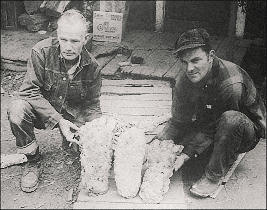 Roger Patterson with big foot casts.